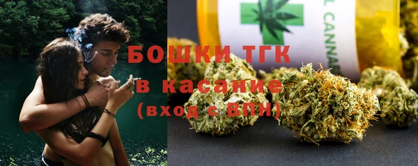 шишки Алексеевка