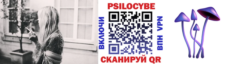 купить наркоту  гидра ONION  Галлюциногенные грибы прущие грибы  Керчь 