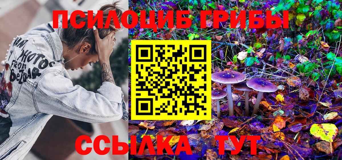 Керчь  Псилоцибиновые грибы прущие грибы  Псилоцибиновые грибы Psilocybe  Вход с VPN 